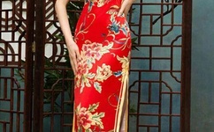 我家王妃是奇葩